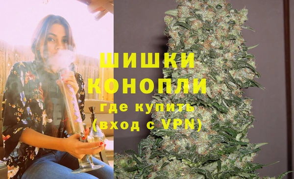 тгк Елизово